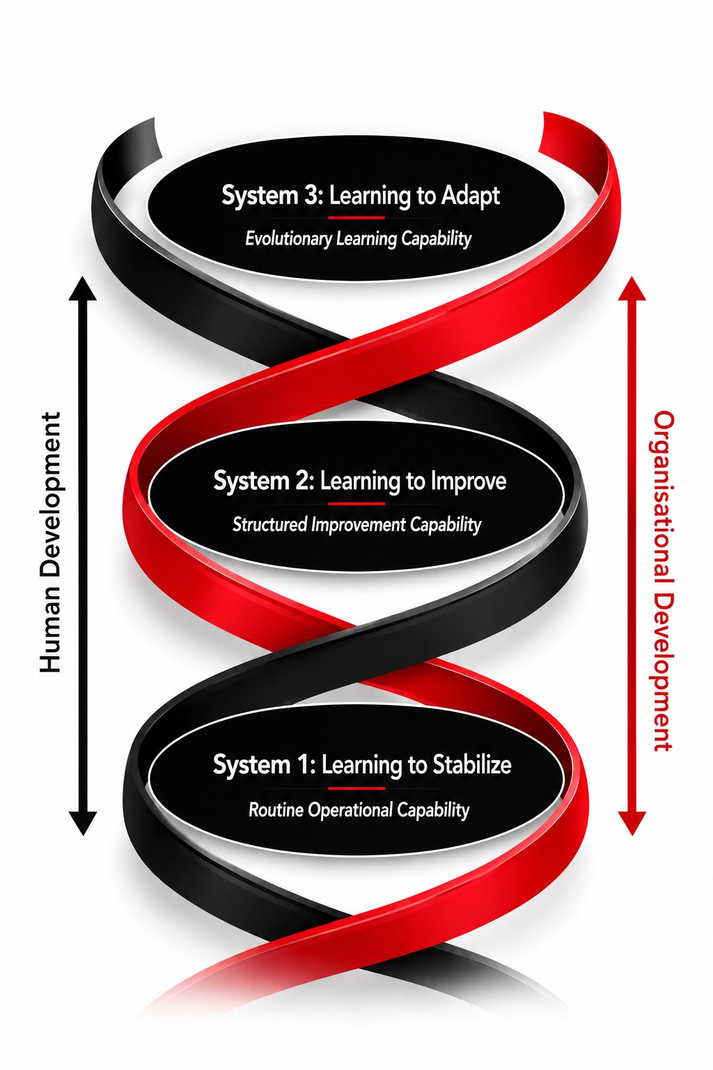 Lean System of Learning Systems — DNA helix diagram